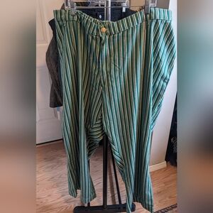 NWOT Big Bud Press Western Pants